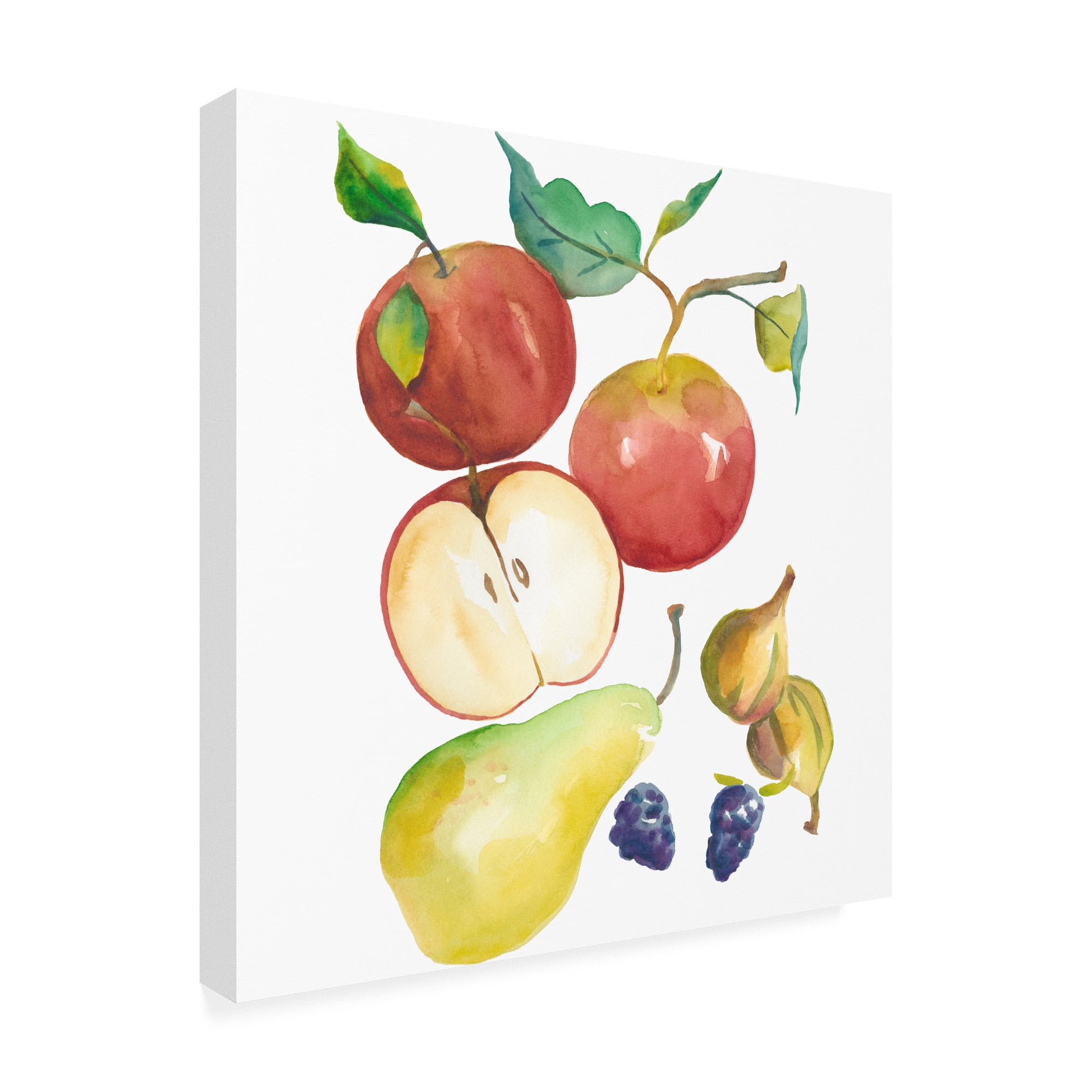 Trademark Fine Art 'Harvest Medley II' Canvas Art by Chariklia Zarris