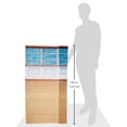 thumbnail image 2 of Themed Backdrops, 2 of 2