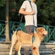 thumbnail image 1 of Arnés de elevación para perros perfecl acolchado soporte de cabestrillo M, 1 of 8