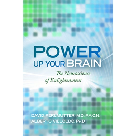 Pre-Owned Power Up Your Brain (Paperback) 1401928188 9781401928186