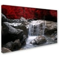 thumbnail image 2 of Trademark Fine Art "Red Vison" Canvas Art by Philippe Sainte-Laudy, 12" x 19", 2 of 3