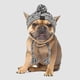 thumbnail image 4 of Methold Gorros de invierno para perros para mayor calidez y un aspecto moderno Gorro cálido para perros de invierno Gorros cálidos para Ropa para mascotas rojo violáceo M, 4 of 6