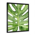 thumbnail image 2 of Designart 'Close Up Green Monstera Leaf Tropical Palm' Tropical Framed Art Print, 2 of 4