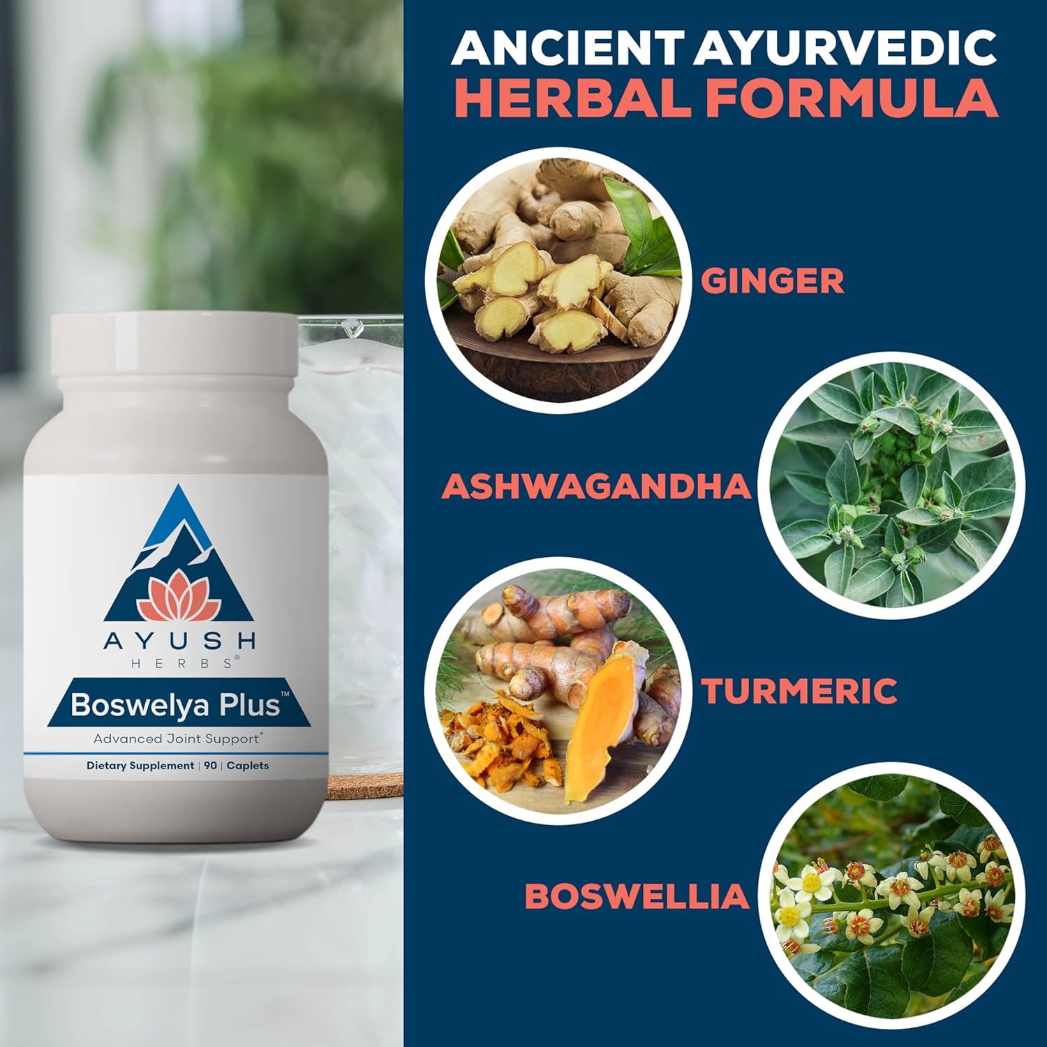 Ayush Herbs Boswelya Plus Glucosamine Chondroitin Supplement for Joint Support, 90 Caplets