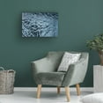 thumbnail image 3 of Trademark Fine Art Luigi Ruoppolo Ice Textures Canvas Wall Art, 3 of 4