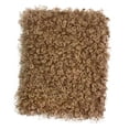 thumbnail image 4 of Sharprepublic Curly Fabric 16.9x14.9 inch Faux Fur Cloth for DIY Crafts Blanket Upholstery Camel, 4 of 8