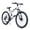White, variant on RAISTYW Folding Mountain Bike, 26 inch Bikes for Adults, 21 Speed Full Suspension Foldable Bike for Men and Womens, High Carbon Steel Frame Dual Disc Brake MTB for Trek and Commuter, White