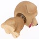 thumbnail image 4 of Bobble Head Dogs Modelo Juguetes para decoración de Zulema Resina Bobble Head Dog, 4 of 8