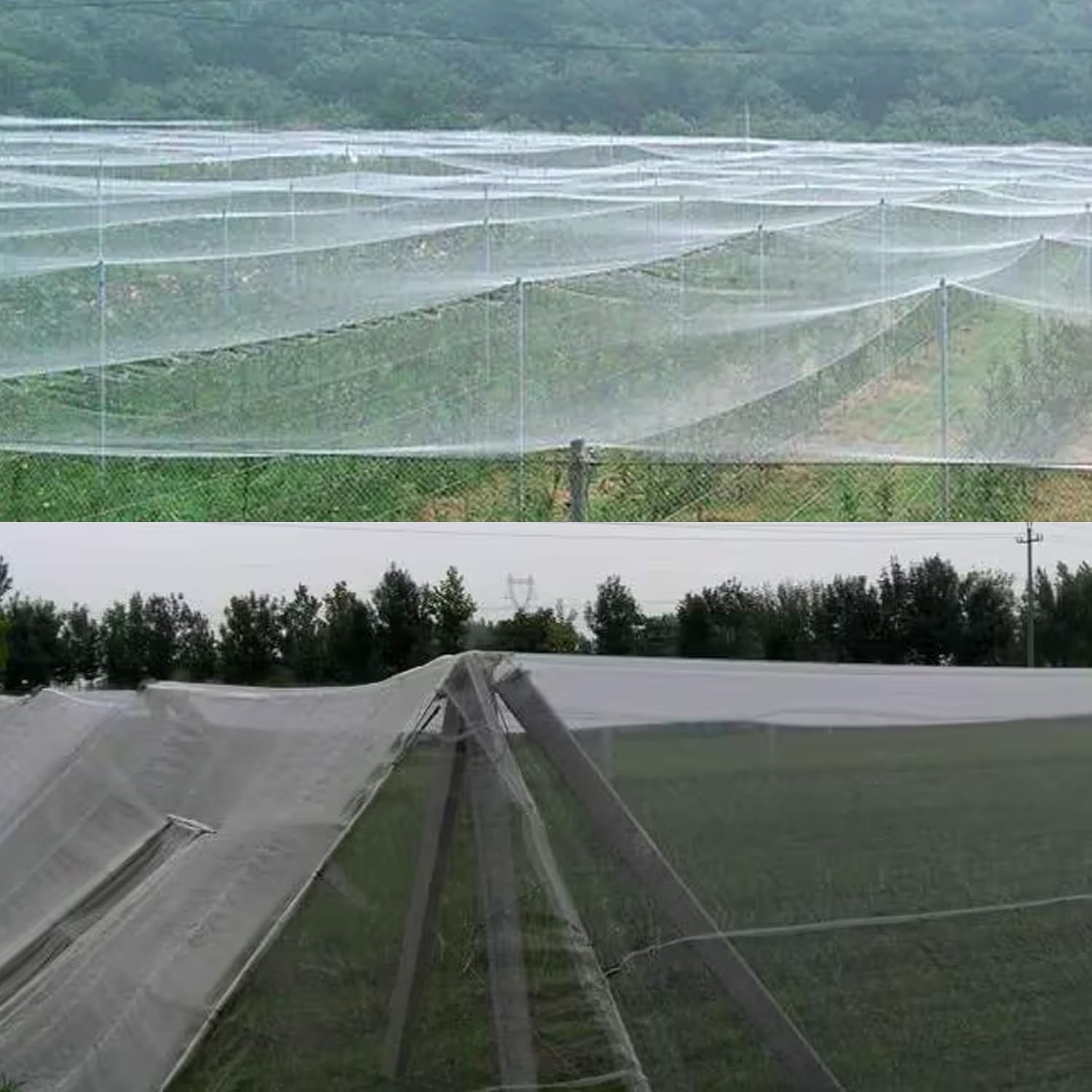 Bird Netting,Bug Net,Garden Netting Mesh,Garden Insect Netting,Protects Garden Plants and Fruit Trees from Birds, Bugs, and Butterflies, Insect Garden Netting, Butterfly Netting(9.84 * 16.40 Ft)