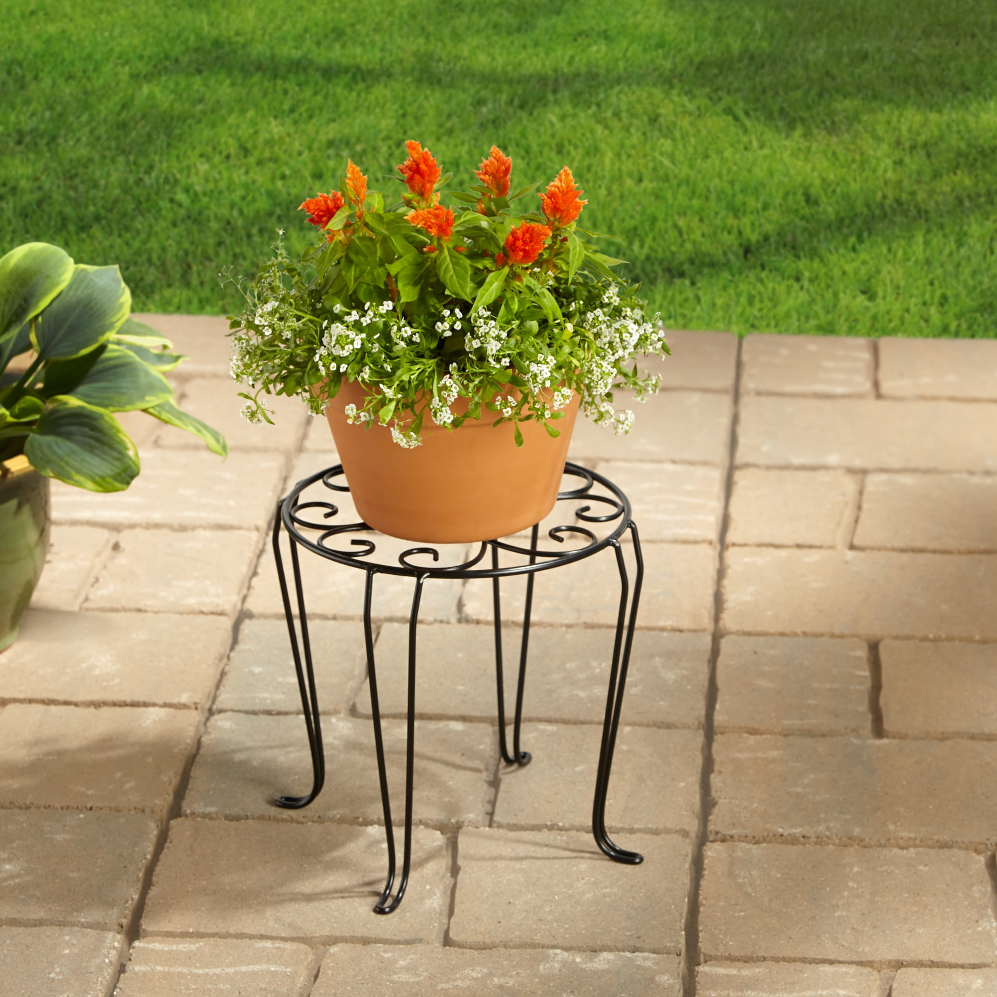 Better Homes and Gardens 10&quot; Iron Scroll Plant Stand