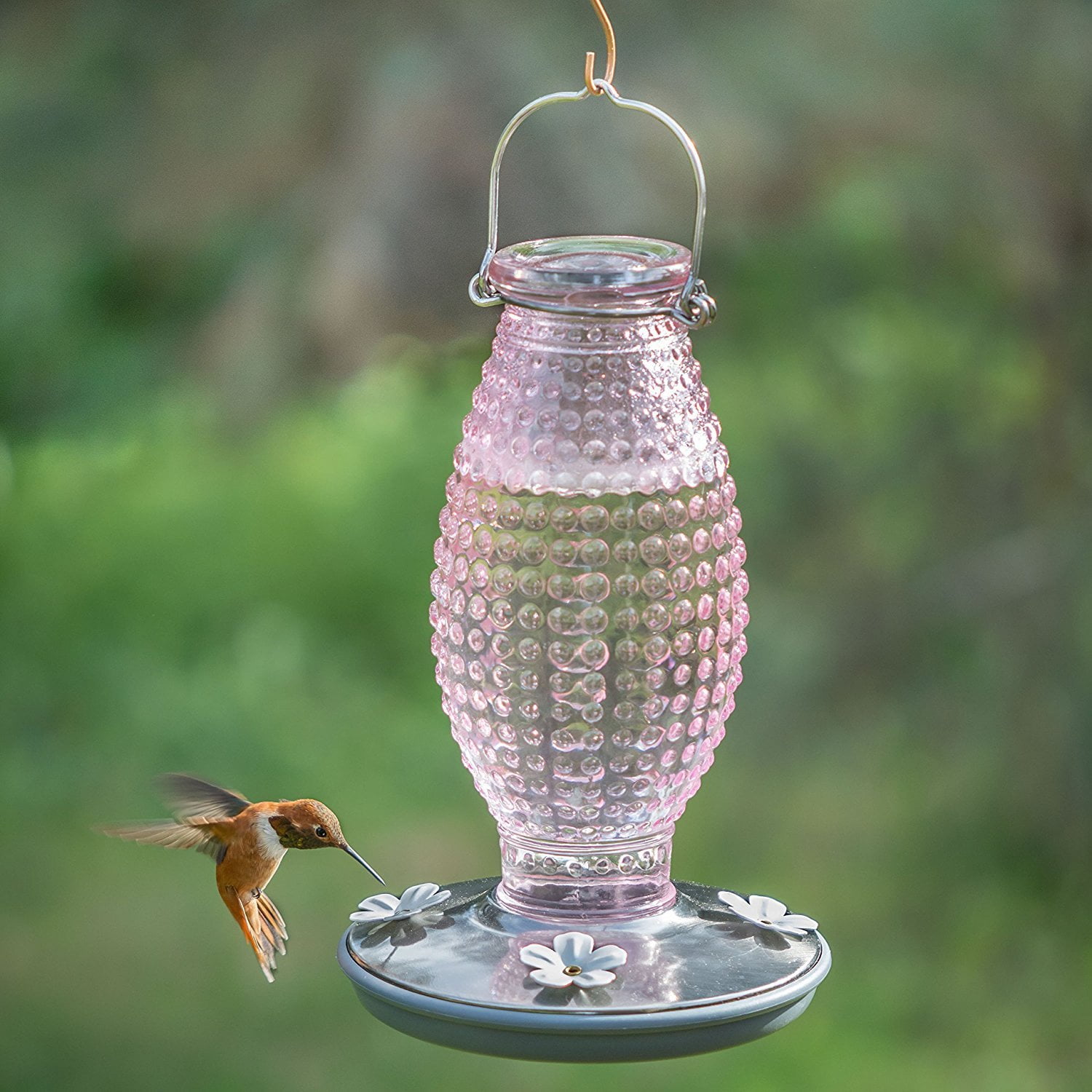 More Birds 38 Hummingbird Elixir Feeder With 5 Ports Red 13 Oz Capacity for sale online 