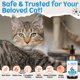 thumbnail image 5 of Suplemento de L-lisina para gatos Lazersell Immune Support, 5 of 9