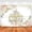 White, variant on Pumpkin Baby Shower Backdrop A Little Pumpkin is on The Way Photography Background for Girls Fall Autumn Baby Shower Party Decorations Banner Supplies Photo Booth Props