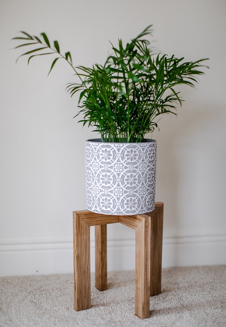 Simple Plant Stand Modern for Large Space