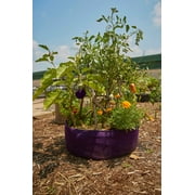 SMART POT Round Raised Bed Mini (24 in) - Black