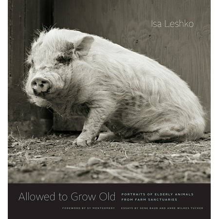 Allowed to Grow Old : Portraits of Elderly Animals from Farm (Best Computer For Elderly)
