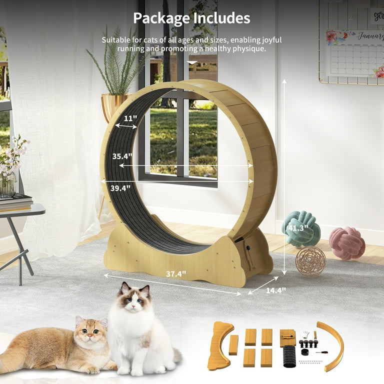Go cat wheel discount