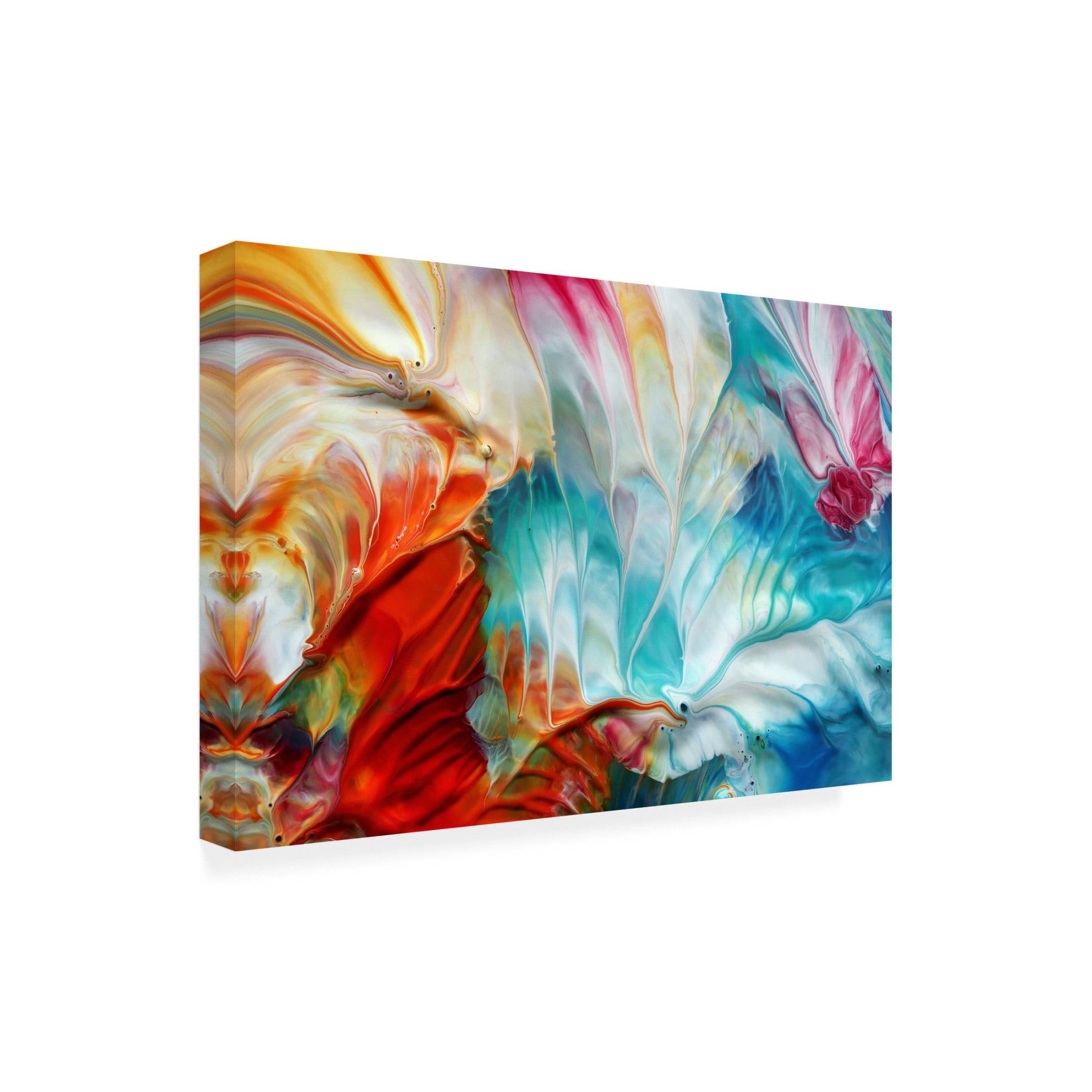 Trademark Fine Art Heidi Westum Seasons Canvas Wall Art