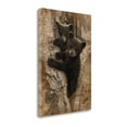 thumbnail image 2 of "Curious Cubs" By Colin Bogle, Fine Art Giclee Print on Gallery Wrap Canvas, Ready to Hang, 2 of 2