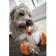 thumbnail image 4 of goDog Checkers Fat Rooster with Chew Guard Technology for Tough Chewers - White, Small, 4 of 11