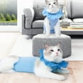 thumbnail image 4 of Cat Recovery Suit, Modal Cat Surgery Recovery Suit Lace Neckline Light Blue Skin Friendly Tail Adjustable  For Daily S,M,L, 4 of 8