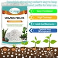 thumbnail image 2 of 2 Quarts Organic Horticultural Perlite for Plants Indoor- Natural Horticultural Soil Additive Conditioner Mix for Improves Drainage, Ventilation and Root Growth, 2 of 7