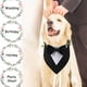 thumbnail image 4 of Apuakthei - 2 piezas de esmoquin para perro, bandana de boda para perro con pajarita, disfraz de cumpleaños ajustable, para mascotas pequeñas, medianas y grandes, 4 of 6