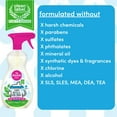 thumbnail image 5 of Dapple Baby Foaming Bottle and Dish Spray, Fragrance-Free, 16.9 fl oz, 5 of 7