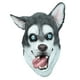 Heureux Chien Husky Adulte Latex Masque Loup Dessin Animé Animal Costume Accessoire – image 1 sur 1