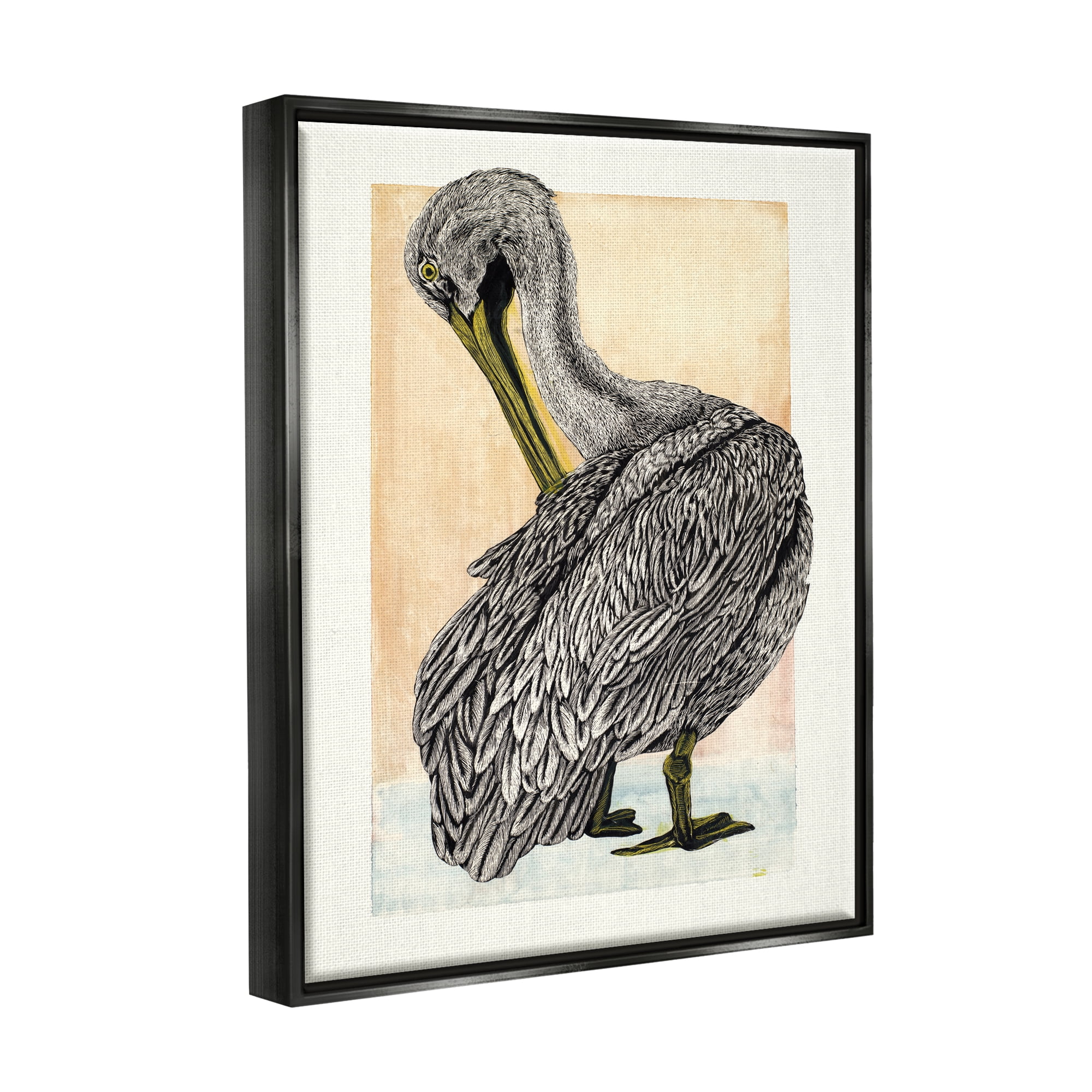 Stupell Industries Detailed Pelican Drawing Animals & Insects Drawing Black Floater Framed Art Print Wall Art, 17 x 21