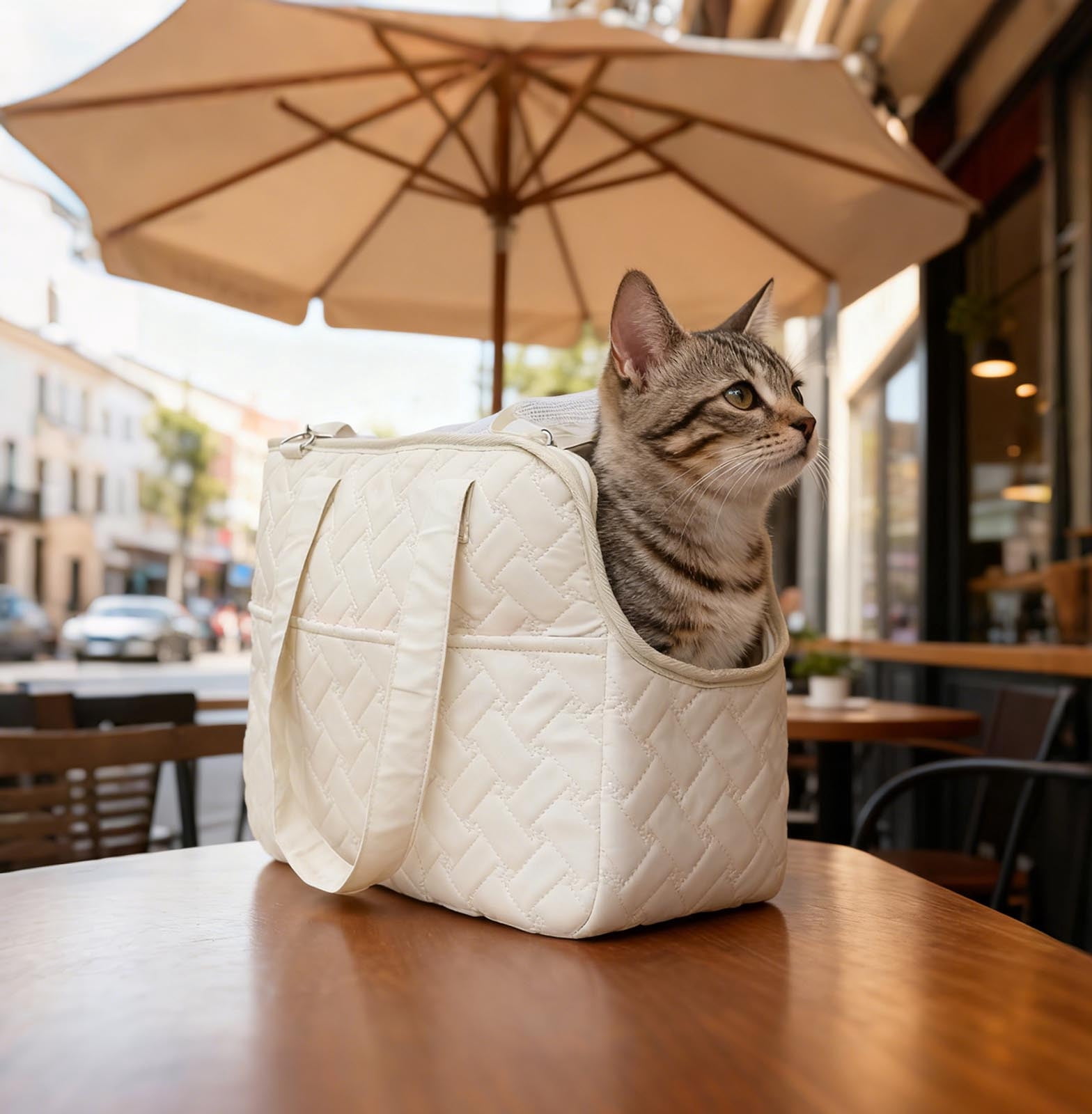 Lightweight Shoulder Strap Pet Tote for Cats and Small Dogs with Breathable Mesh Window Secure Outdoor Travel Backpack Alternative