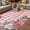 Pink, variant on Pink Flowers Outdoor Rug for Patio/Deck, Non-Slip Large Area Rug 4 x 6 Ft, Spring Floral Butterflies Black White Striped Farmhouse Indoor Outdoor Rugs Washable Area Rugs, Camping Rug Carpet Runner