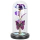 thumbnail image 3 of Valentines Day Rose Glass Dome Eternal Flower Gifts Assorted Color Preserved Flower Decoration 1Pcs, 3 of 4