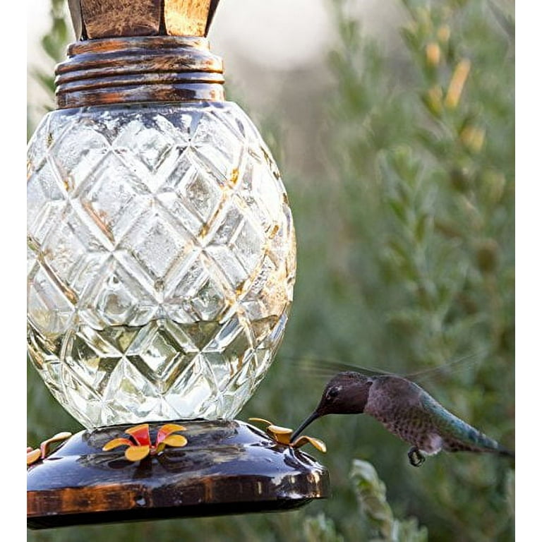 Hummingbird Feeders At Kmart