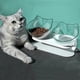 thumbnail image 5 of Cuenco para mascotas de gran venta, protector de cuello para gatos, cuenco transparente inclinado para cara de gato, a prueba de salpicaduras y antideslizante, suministros para mascotas, 5 of 5