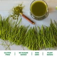 thumbnail image 2 of Amazing Grass, Organic Wheat, 17 oz, 60 Servings, 2 of 7