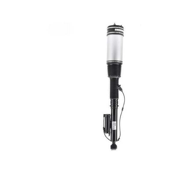 Rear Air Strut Assembly - Compatible with 1999 - 2006 Mercedes Benz S500 with Airmatic 2000 2001 2002 2003 2004 2005