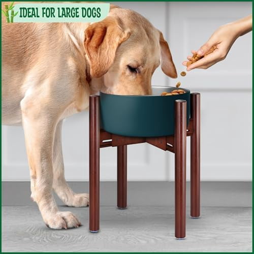 Stand for Dog Water/Food Bowl, Fountain or Feeder - Ideal for Large Dog Breeds - Adaptable Size with Lock - Bowls Not Included