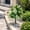 White, variant on Artificial Gladiolus Topiary Ball Flowers With Ground Stake Outdoor Faux Plants Weather Resistant Fake Shrub Garden Decor For Porch Patio Landscaping Summer Fall Holiday Home Decoration