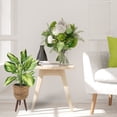 thumbnail image 3 of LCG Florals Artificial Plant, Faux Designer Hosta Plant, 28in, Modern Brown Basket Stand, Artificial Indoor Plant for Living Room, Office, & Home Décor, 3 of 8