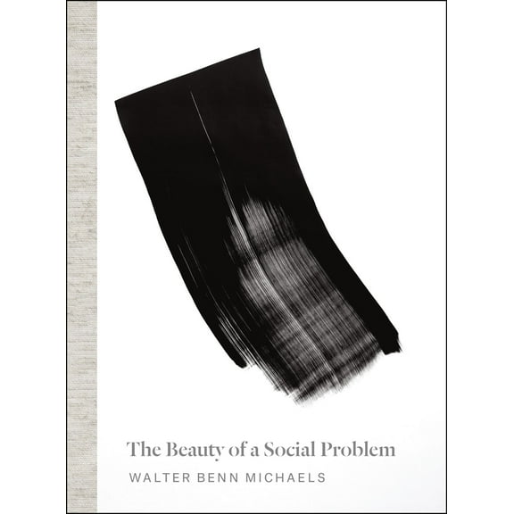 The Beauty of a Social Problem : Photography, Autonomy, Economy (Paperback)
