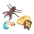 thumbnail image 2 of Children Animal Model Toy Convenient Animals Growth Cycle Mode Reusable Life Cycle Model Set For Children #1,#2,#3, 2 of 8