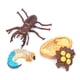 thumbnail image 3 of Modelo de Ciclo de Vida Animal de Juguete ANGGREK, 3 of 8