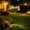 Solar Fiber Optic Garden Light Under $5 a3, variant on Fufafayo Solar Fiber Optics Flower Garden Stake Light, Waterproof Outdoor Lawn Lamp for Yard Pathways, Spring Decor Lighting for Walkways, Patios or Gardens, Glowing Cherry Blossom Decor