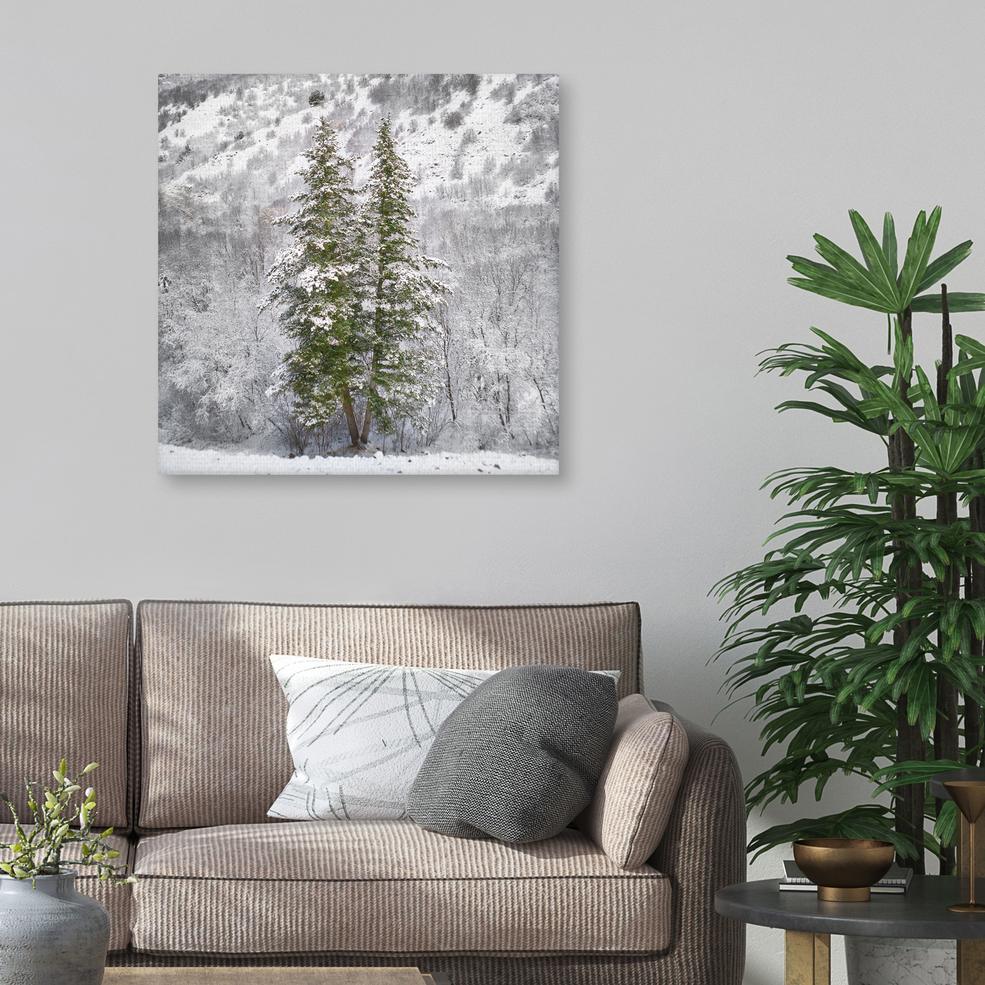 Snow Trees by Chris Dunker Canvas Art Print