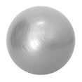 thumbnail image 2 of Pelota de Ejercicio DYNWAVEMX Pelota de yoga para ejercicios Azul 85cm Gris 45cm, 2 of 7