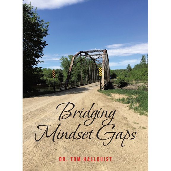 Bridging Mindset Gaps, (Paperback)