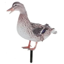 LOLIPPYY Garden Stake Yard Stake Animal Yard Arts Decoration Outdoor Decoration