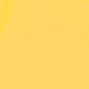 Yellow,Black