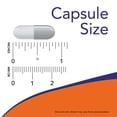 thumbnail image 3 of NOW FOODS NONI 450 MG 90 CAPSULAS VEGETALES, 3 of 4